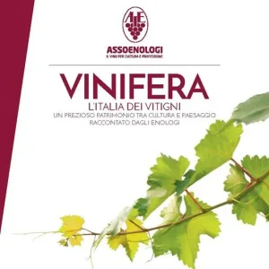 Scelto Dai Clienti Vinifera. L‘Italia dei vitigni. Origini, caratteristiche geo-pedologiche e colturali, tecnologie e profili sensoriali dei principali vitigni autoctoni italiani. Ediz. illustrata