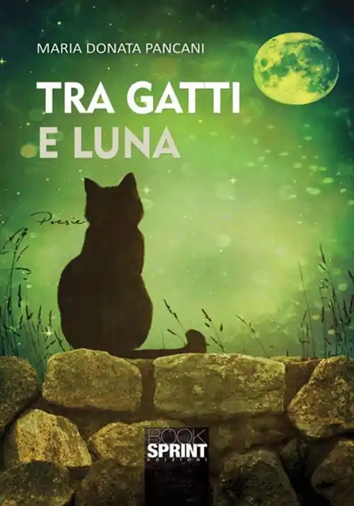 Promo Stagionale Tra gatti e luna