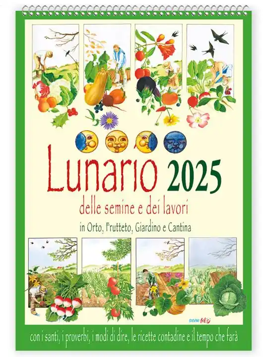 Scelto Dai Clienti Lunario delle semine e dei lavori in orto, frutteto, giardino e cantina con santi, i proverbi, i modi di dire, le ricette contadine e il tempo che farà. Calendario 2025