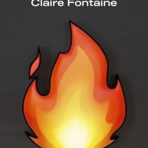 A User’s Manual to Claire Fontaine Esclusivo