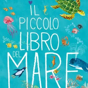 Il piccolo libro del mare. Ediz. a colori Occasione