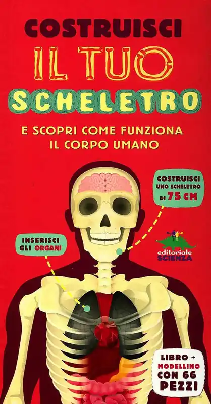 Costruisci il tuo scheletro e scopri come funziona il corpo umano. Ediz. illustrata. Con modellino Miglior Prezzo