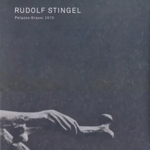 Rudolf Stingel. Palazzo Grassi 2013. Ediz. italiana, inglese e francese Novità