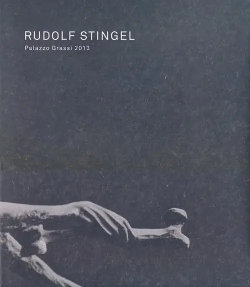 Rudolf Stingel. Palazzo Grassi 2013. Ediz. italiana, inglese e francese Novità
