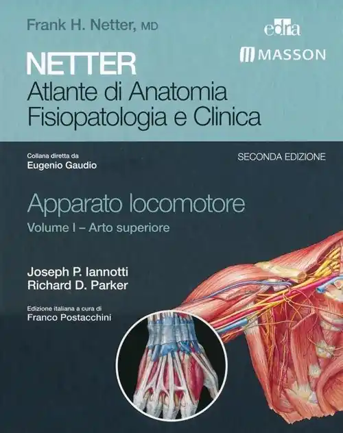 Netter. Atlante di anatomia. Fisiopatologia e clinica. Apparato locomotore. Vol. 1 Arto superiore. Offerta Del Giorno