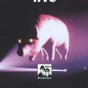 Pagamento Sicuro Pink Floyd live