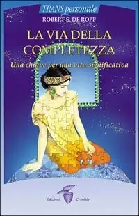 Sciamanismo. Una pratica spirituale per la vita quotidiana Occasione Imperdibile