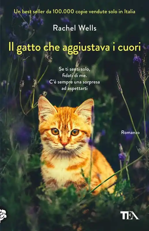 Il gatto che aggiustava i cuori Subito Disponibile