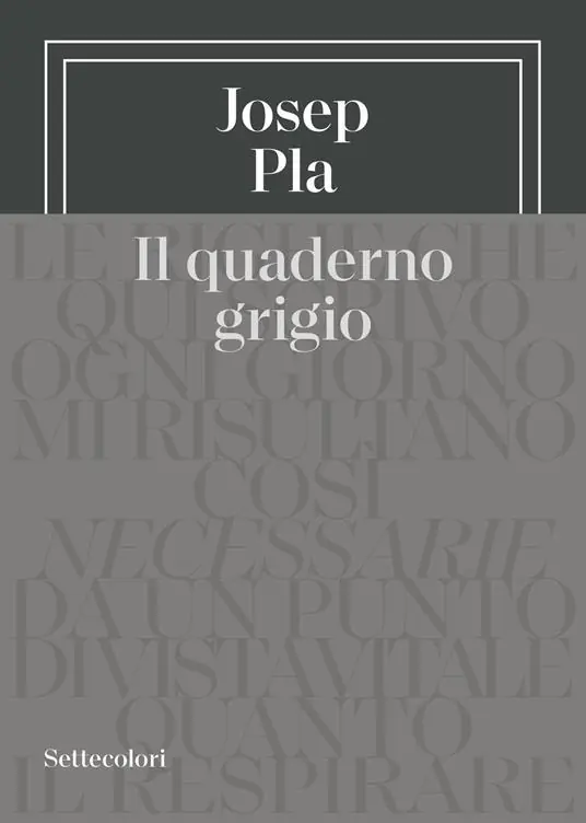 Il quaderno grigio Prezzo Scontato