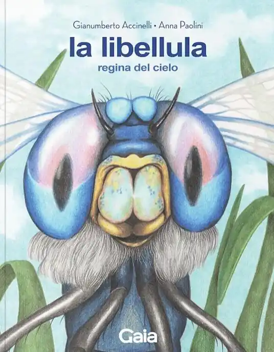 La libellula. Regina del cielo. Ediz. a colori Occasione