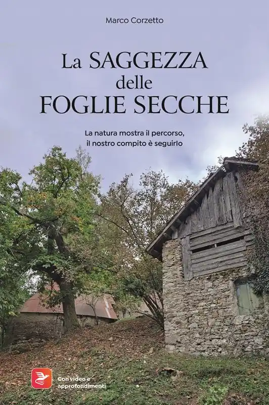 La saggezza delle foglie secche Prezzo Di Fabbrica