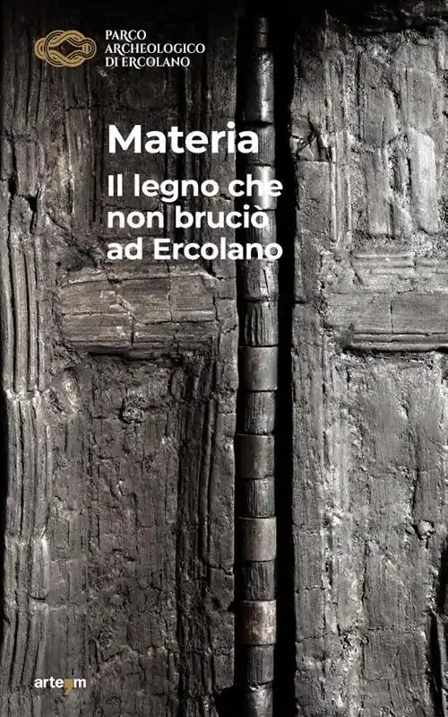 Materia. Il legno che non bruciò ad Ercolano Ordina Subito