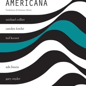 Nuova Poesia Americana. Vol. 4 Prezzo Ridotto