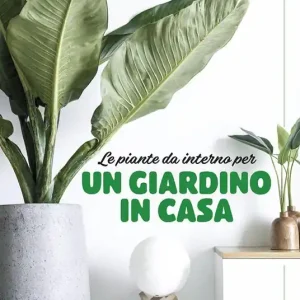 Prezzo Basso Le piante da interno per un giardino in casa. Ediz. a colori