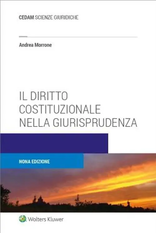 Il diritto costituzionale nella giurisprudenza Più Venduto