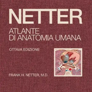 Netter. Atlante di anatomia umana Offerta Del Giorno