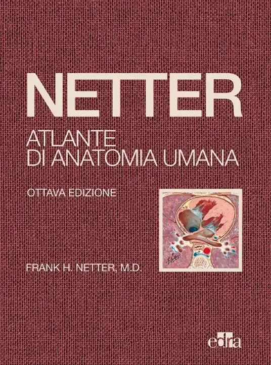 Netter. Atlante di anatomia umana Offerta Del Giorno