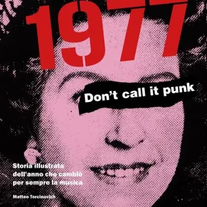 1977. Don‘t call it punk. Storia illustrata dell‘anno che cambiò per sempre la musica. Ediz. italiana e inglese Ultimissimo Modello