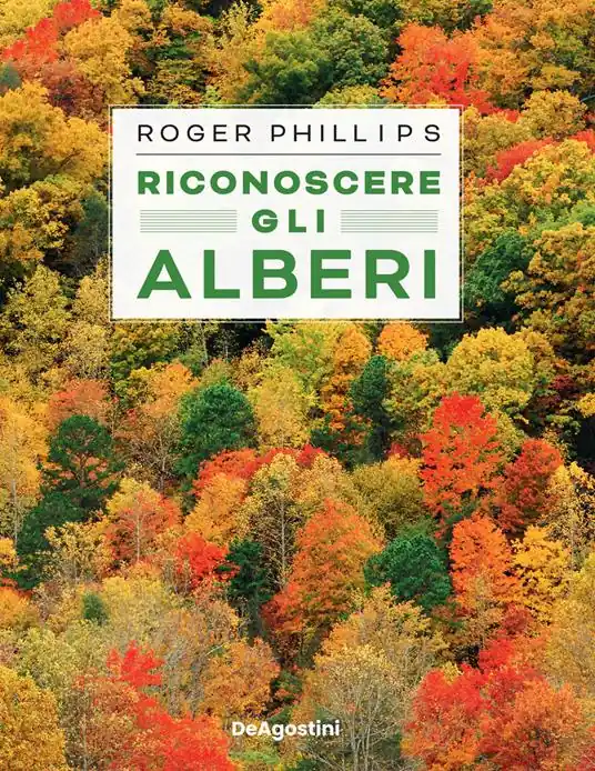 Riconoscere gli alberi. Ediz. a colori Must-Have