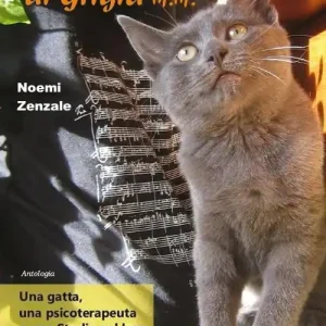 Ultime Pezzi I racconti di Grigia M. M.