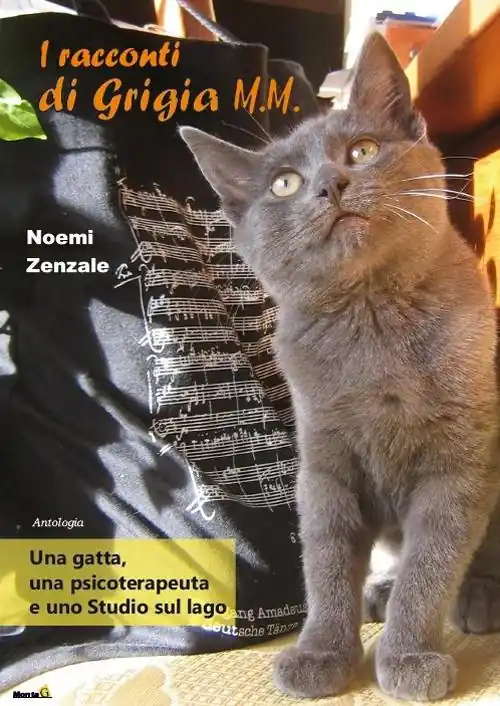 Ultime Pezzi I racconti di Grigia M. M.
