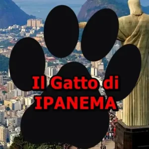 Il gatto di Ipanema Novità