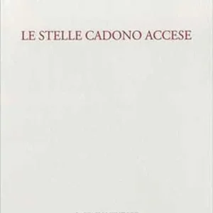 Offerta Le stelle cadono accese
