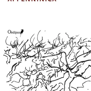 Appenninica Ultimissimo Modello