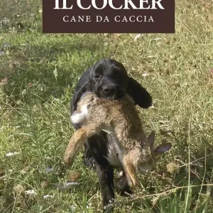 Il cocker. Cane da caccia Compra Adesso