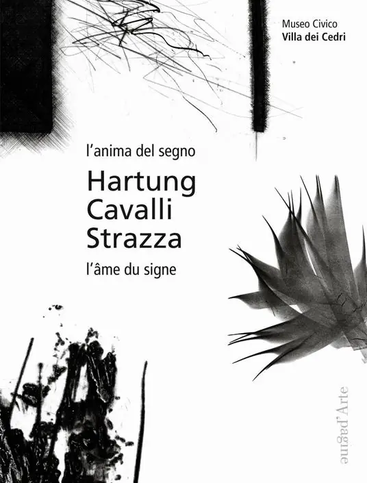 L‘ anima del segno-L‘âme du signe. Ediz. bilingue Ultime Pezzi