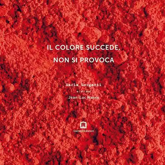Il colore succede, non si provoca. Ediz. italiana, inglese, francese e tedesca Prezzo Di Fabbrica