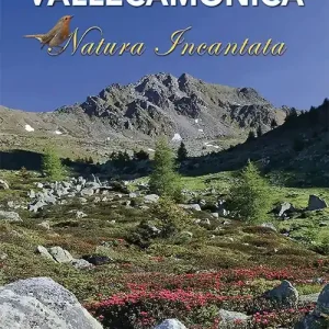 Vallecamonica natura incantata Spedito Oggi