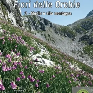 Fiori delle Orobie. Vol. 3 Media e alta montagna Prezzo Conveniente