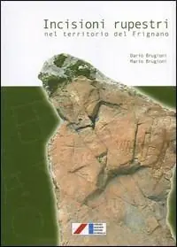 Prezzo Ridotto Incisioni rupestri nel territorio del Frignano. Ediz. illustrata
