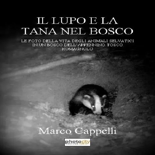 Il lupo e la tana nel bosco. Le foto della vita degli animali selvatici in un bosco dell‘Appennino tosco-romagnolo. Ediz. illustrata Compra Adesso