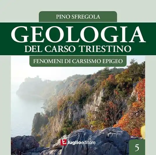 Geologia del Carso triestino. Vol. 5 Fenomeni di carsismo epigeo. Compra Adesso