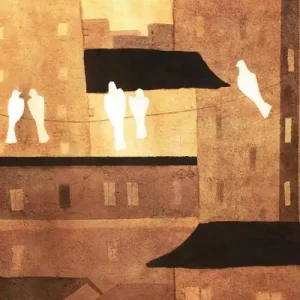 Nuova Collezione Il sogno di Benino