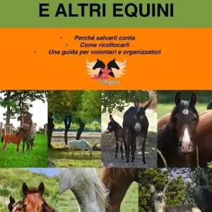 Più Venduto Cavalli e altri equini. Perché salvarli conta. Come ricollocarli. Una guida per volontari e organizzatori