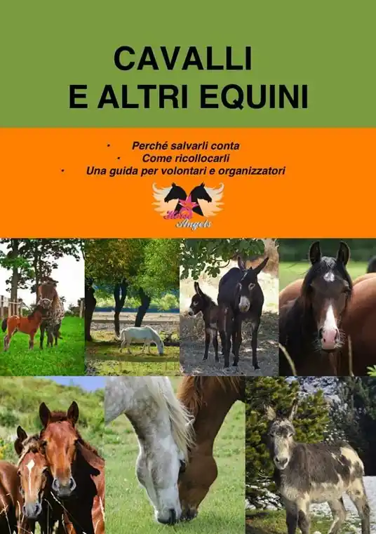 Più Venduto Cavalli e altri equini. Perché salvarli conta. Come ricollocarli. Una guida per volontari e organizzatori
