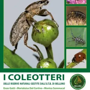 Bestseller I coleotteri. Delle riserve naturali gestite dall‘U.T.B. di Belluno