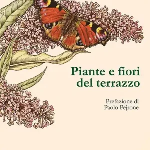 Piante e fiori del terrazzo Consegna Rapida