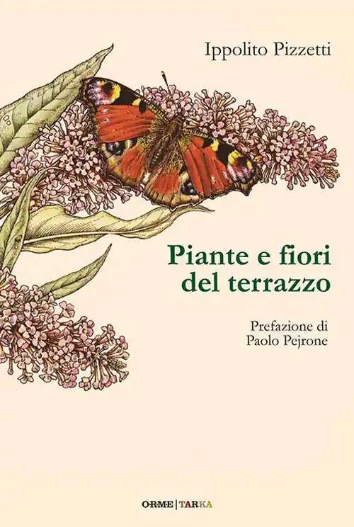 Piante e fiori del terrazzo Consegna Rapida