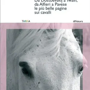 Prezzo Conveniente 101 cavalli d‘autore. Da Dostoevskij a Twain, da Alfieri a Pavese. Le più belle pagine sui cavalli