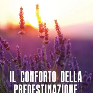Il conforto della predestinazione Economico