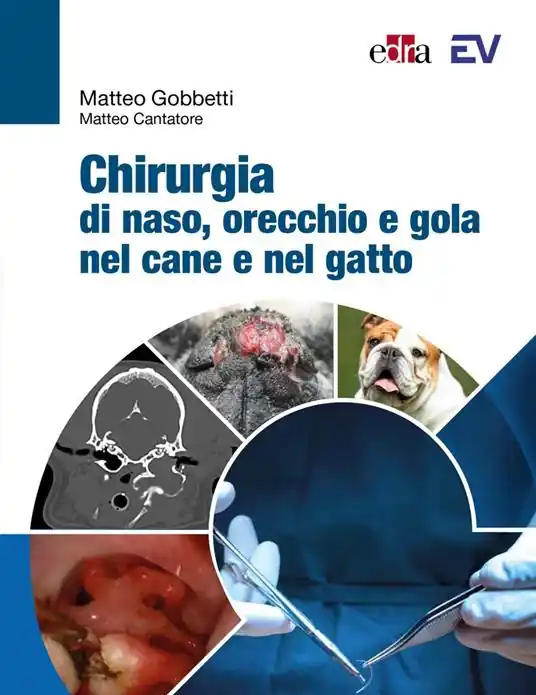 Chirurgia di naso, orecchio e gola nel cane e nel gatto Offerta Speciale