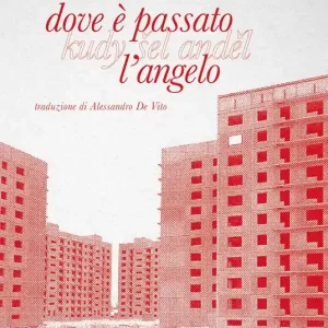 Ordina Subito Dove è passato l‘angelo. Ediz. integrale