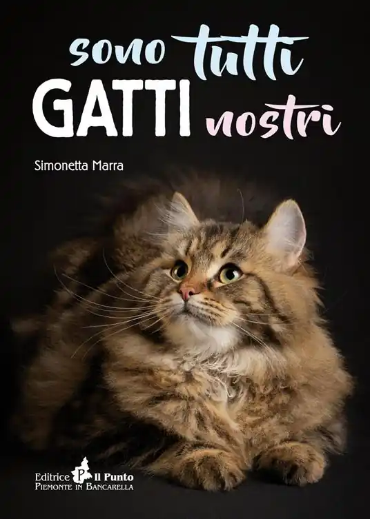 Pagamento Sicuro Sono tutti gatti nostri