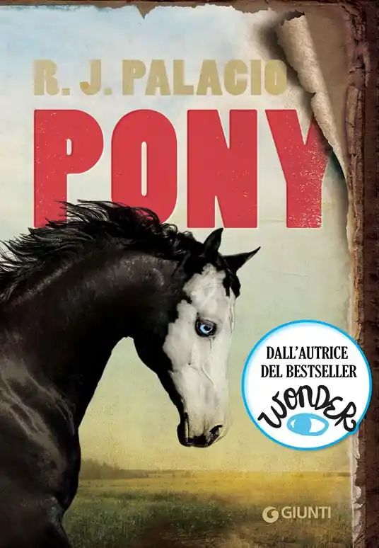 Prezzo Di Fabbrica Pony