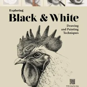 Exploring black & white. Drawing and painting techniques. Ediz. illustrata. Con video tutorial Nuovo Arrivo