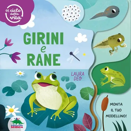 Girini e rane. Il ciclo della vita. Ediz. a colori Spedito Oggi
